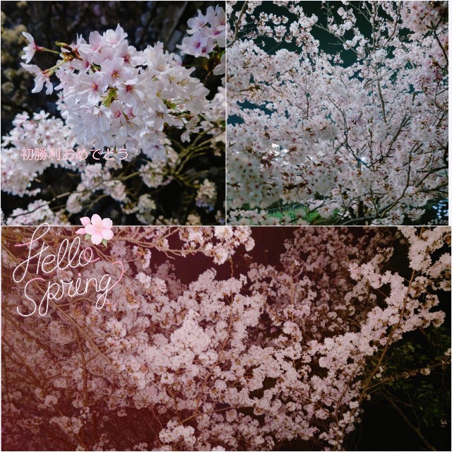 f:id:TigerBalm:20220405204929j:image