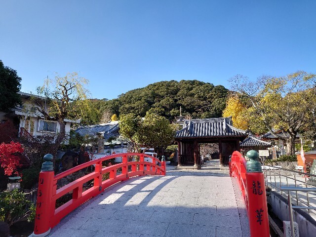 f:id:TigerBalm:20231210230610j:image