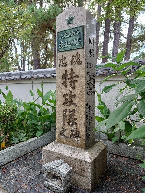 f:id:TigerBalm:20250916154520j:image