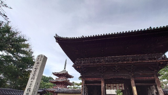 f:id:TigerBalm:20250916154639j:image