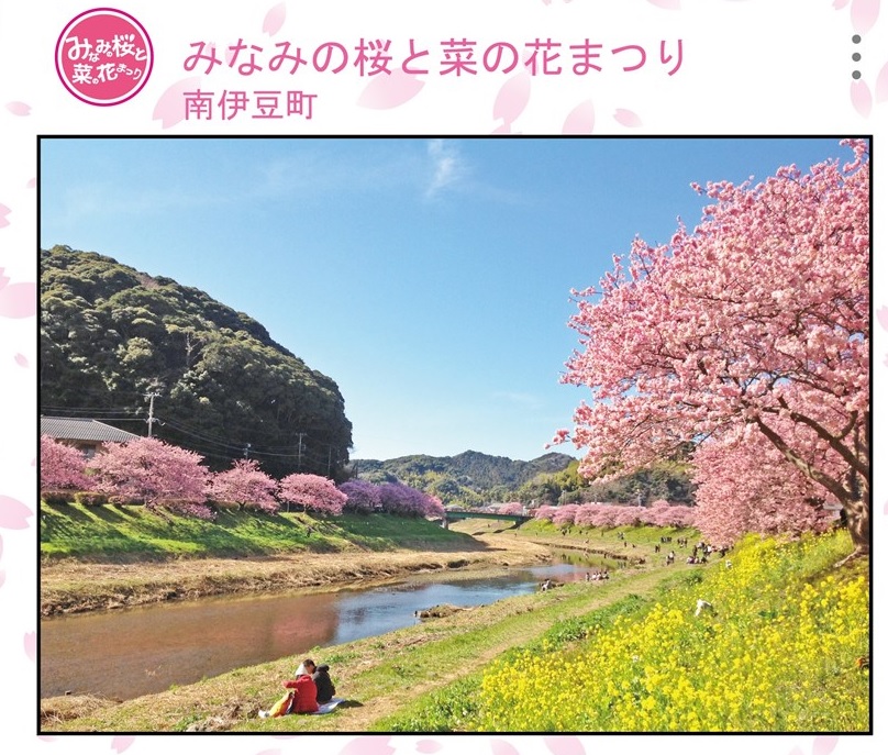f:id:Tiger_Pipeline:20200207010839j:plain