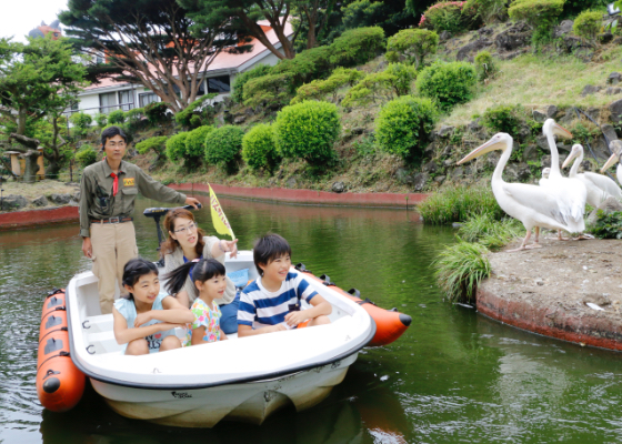 f:id:Tiger_Pipeline:20200624091826j:plain