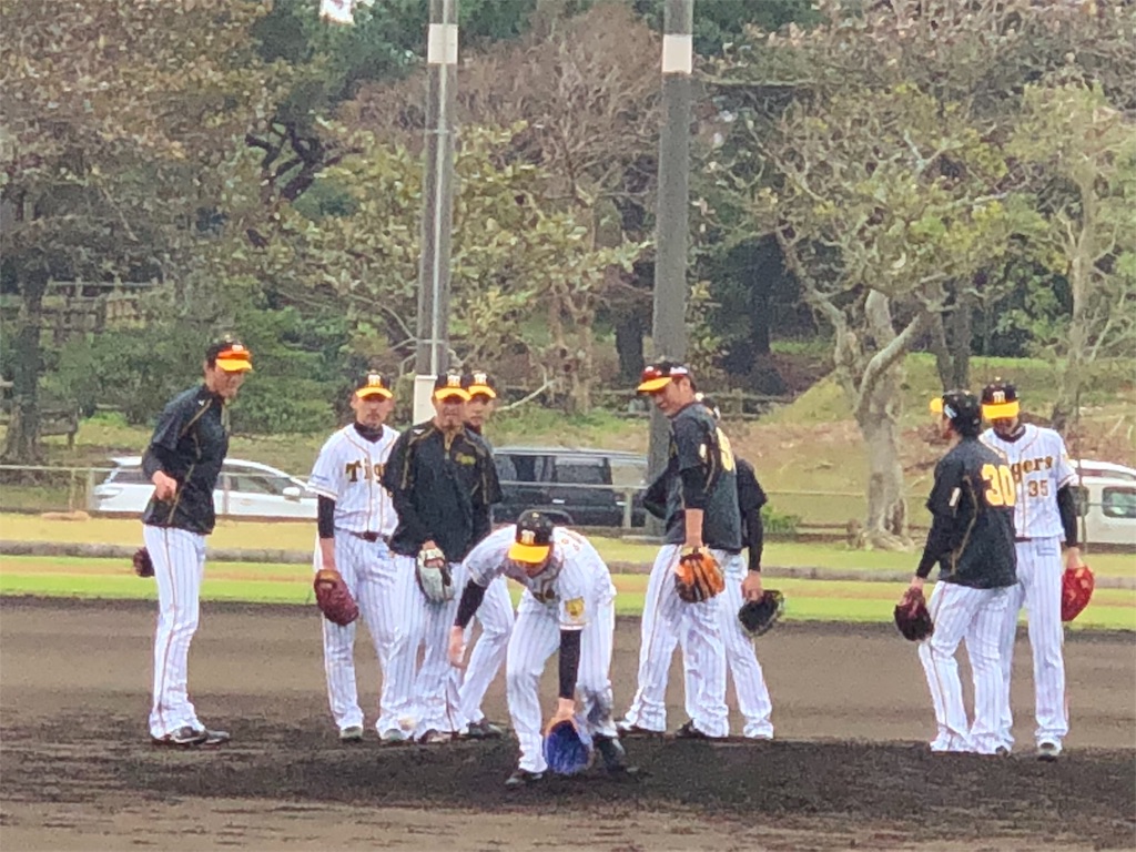 é˜ªç¥žã‚¿ã‚¤ã‚¬ãƒ¼ã‚¹å®œé‡Žåº§ã‚­ãƒ£ãƒ³ãƒ—è¨ªå•ä¸€æ—¥ç›® 2018å¹´2æœˆ11æ—¥ãƒ¼2018å¹´2æœˆ12æ—¥ è™Žã‚­ãƒã®ãŠåŸŽã‚°ãƒ«ãƒ¡æ—…å·¡ã‚Š