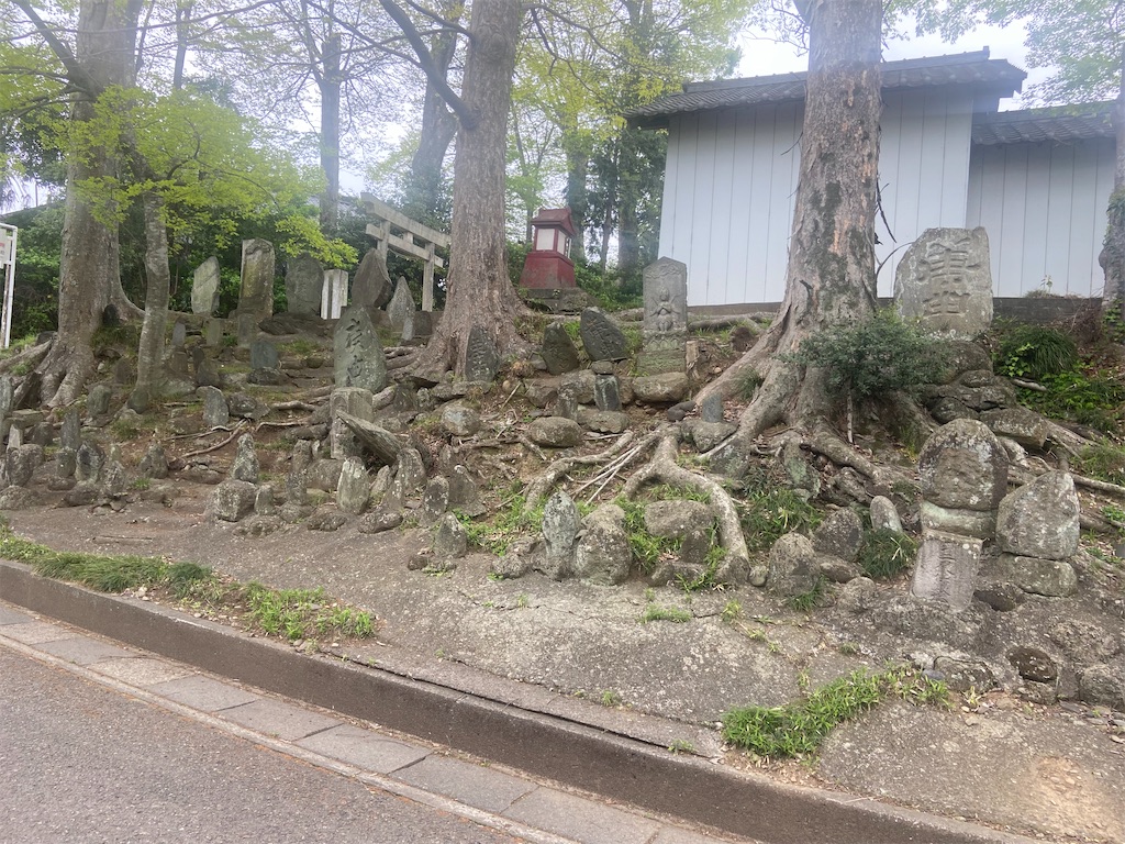 f:id:Tigers1223:20220422122716j:image f:id:Tigers1223:20220422122716j:image