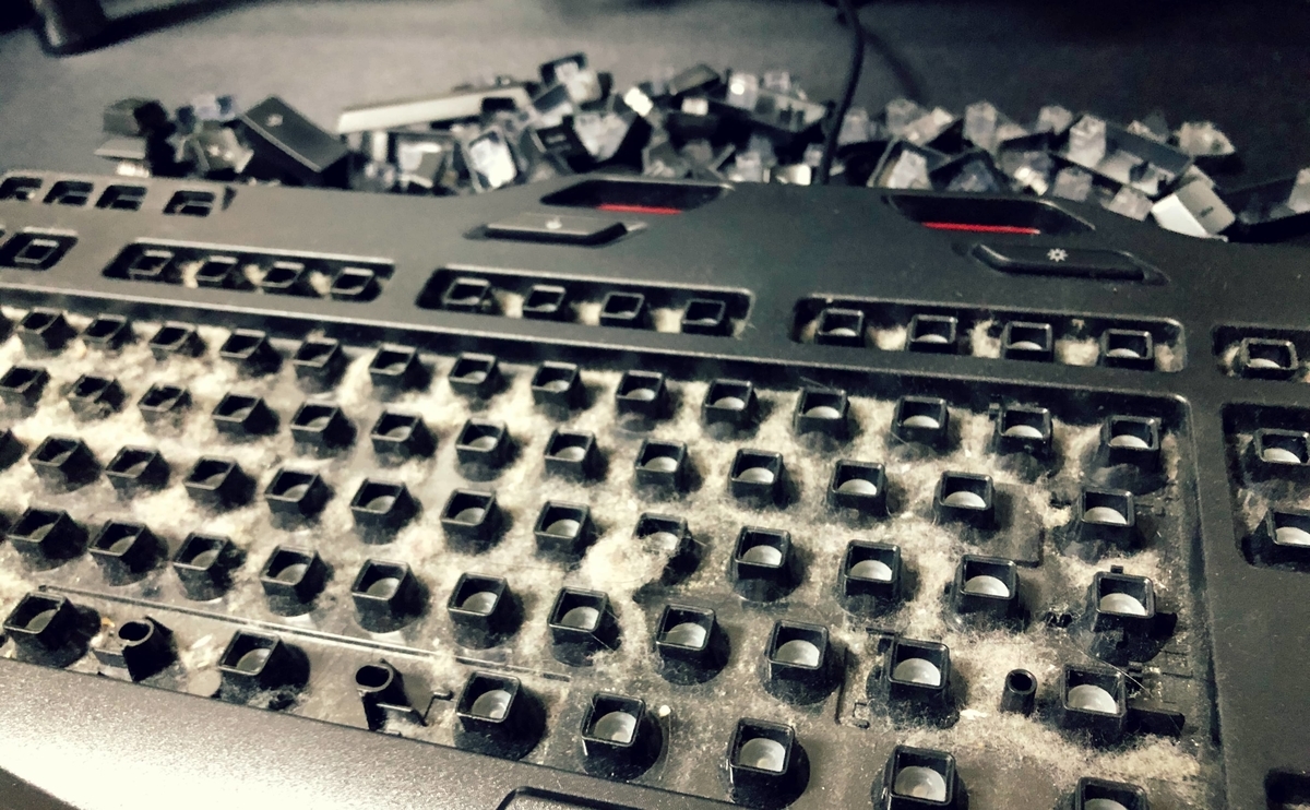 長年サボっていたゲーミングキーボードg105の掃除をしました とりまゲームのティル日記