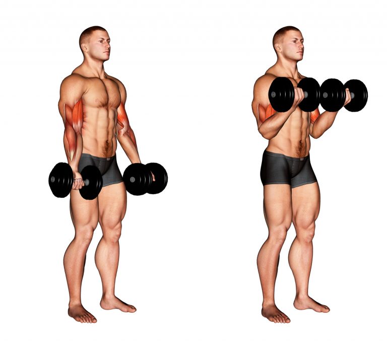 ATIVAFIT 可変式ダンベル 25kg購入｜メリット・デメリット解説 - 人生