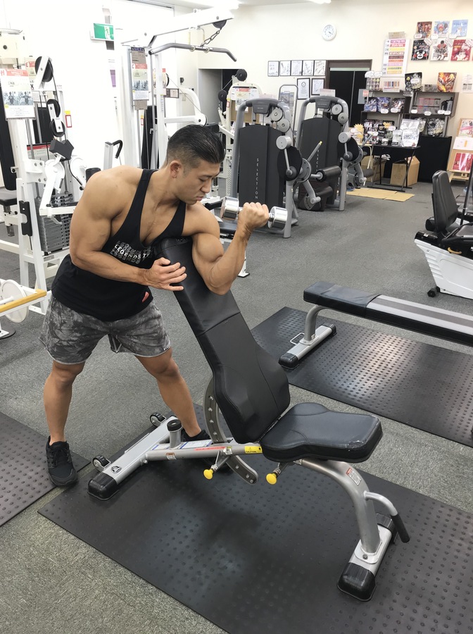 アームカールベンチ Bull アームカールベンチ 筋トレ ブル プリチャー