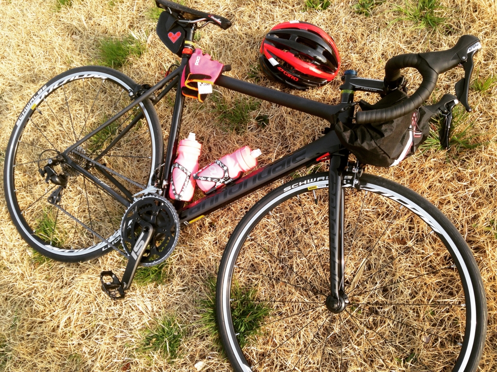 f:id:TinyBicycleClub:20170507144922j:plain f:id:TinyBicycleClub:20170507144922j:plain