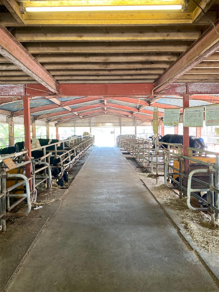 f:id:TinyBicycleClub:20210625164822j:image