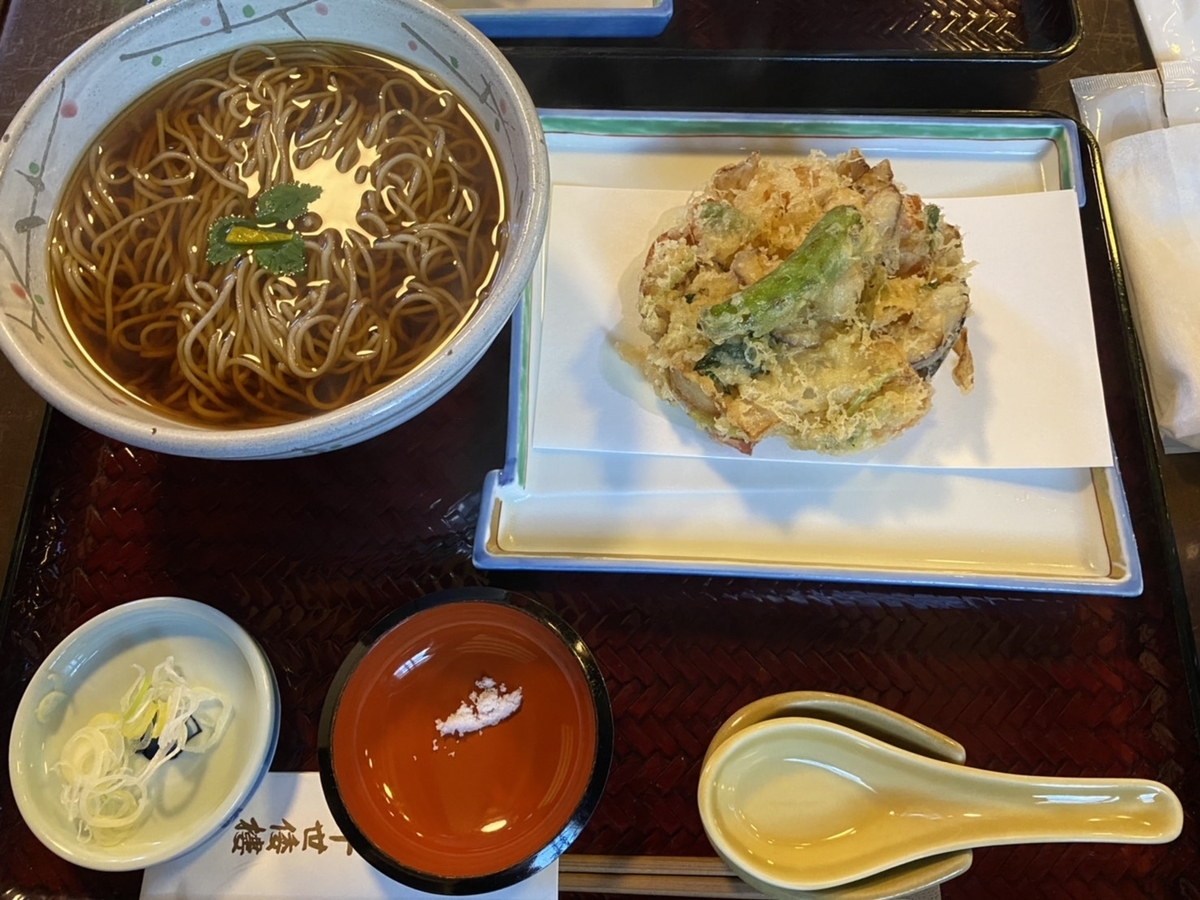 f:id:Tkakeru:20210201232441j:plain