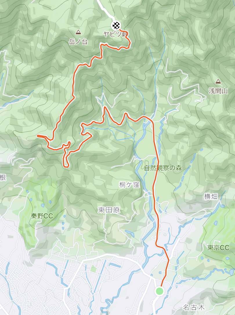 f:id:Tkakeru:20210526103203j:plain