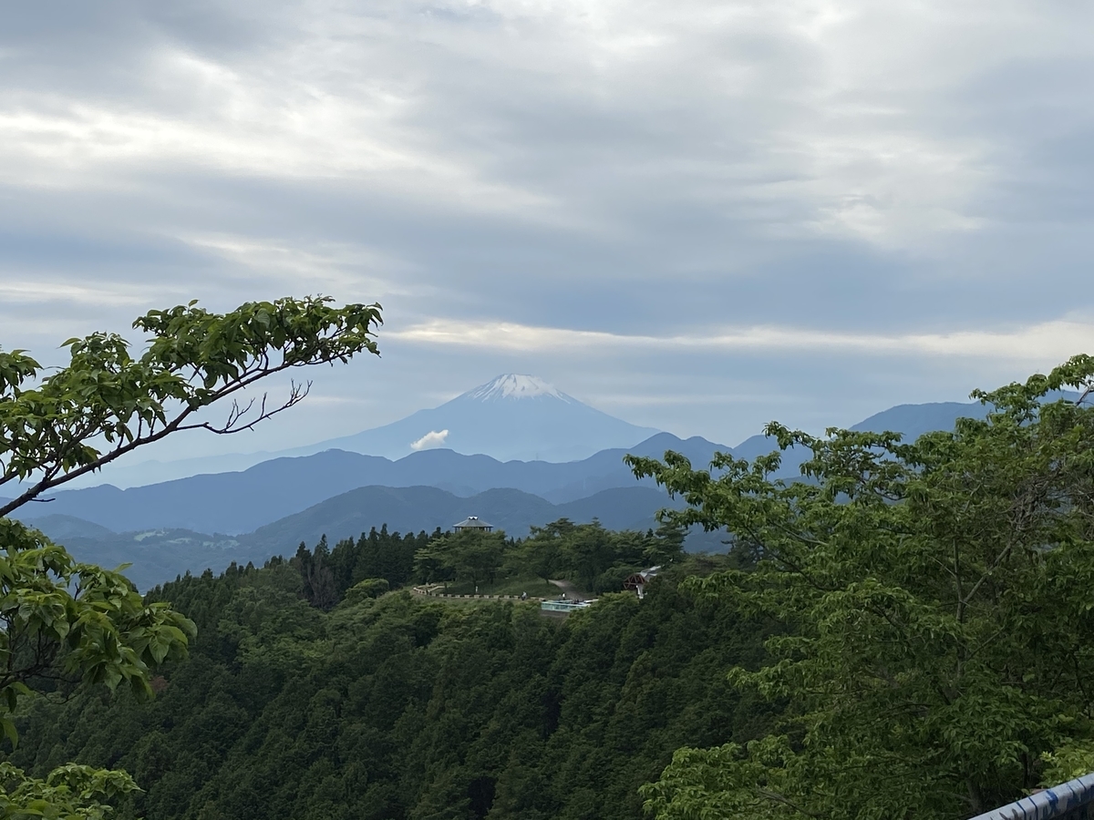 f:id:Tkakeru:20210526105339j:plain
