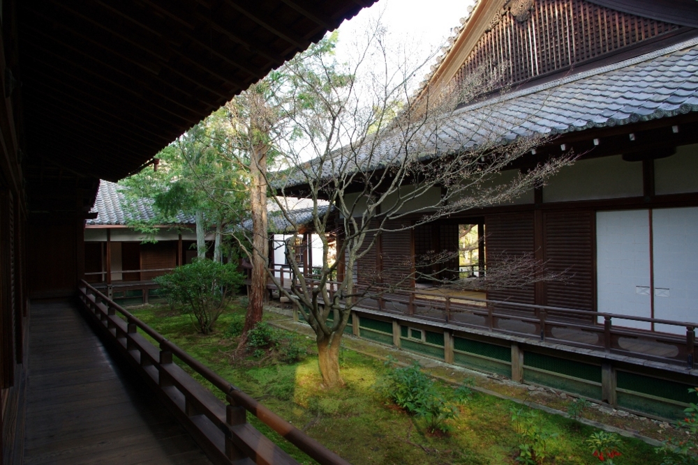 f:id:To-Kyoto:20160626213144j:plain f:id:To-Kyoto:20160626213144j:plain