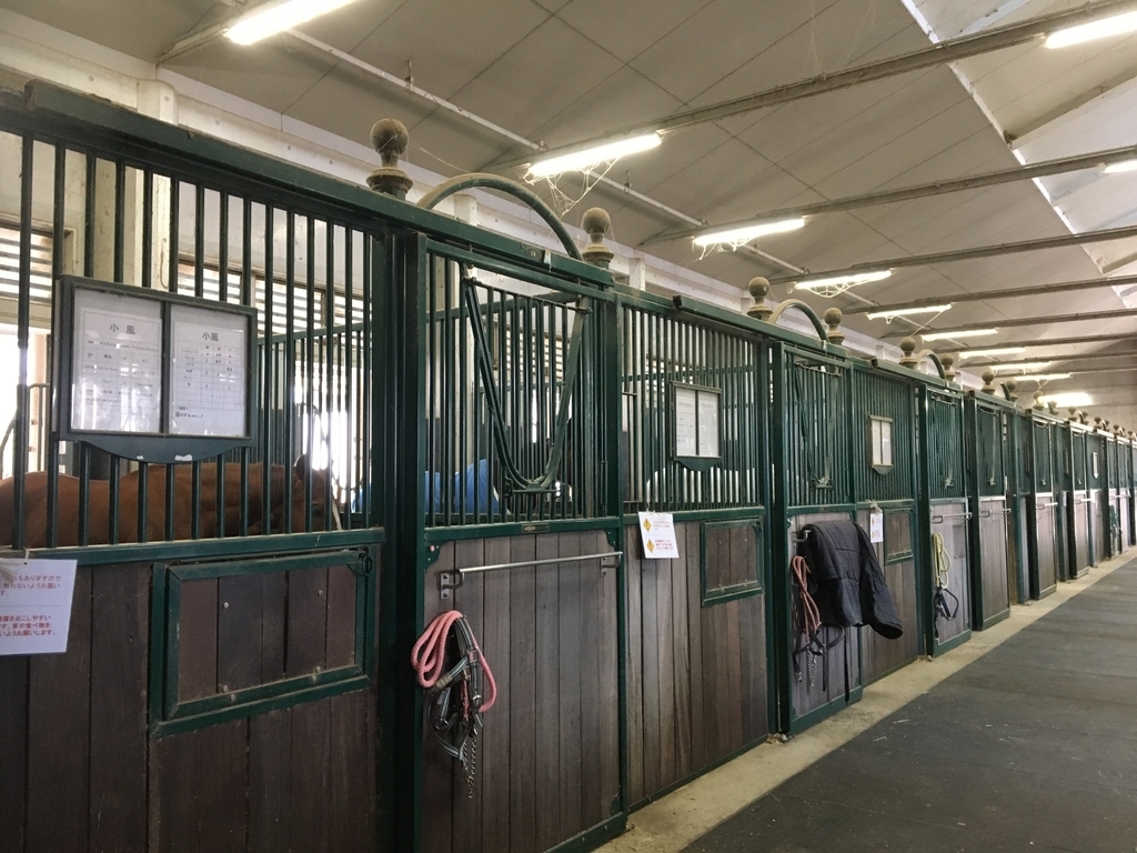 f:id:ToJUN:20190128173827j:plain