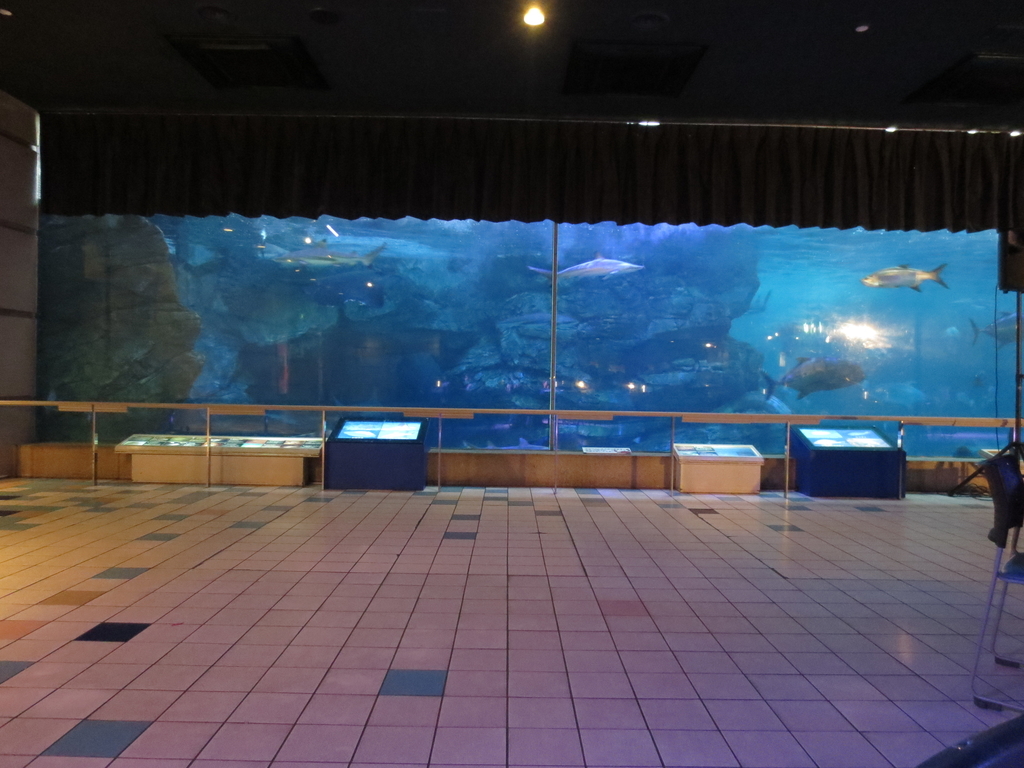 f:id:ToJUN:20190310224031j:plain f:id:ToJUN:20190310224031j:plain