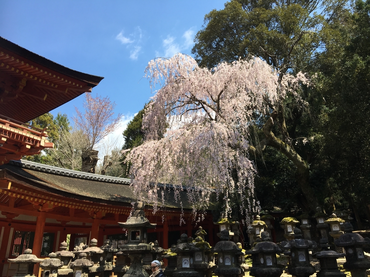 春日大社
