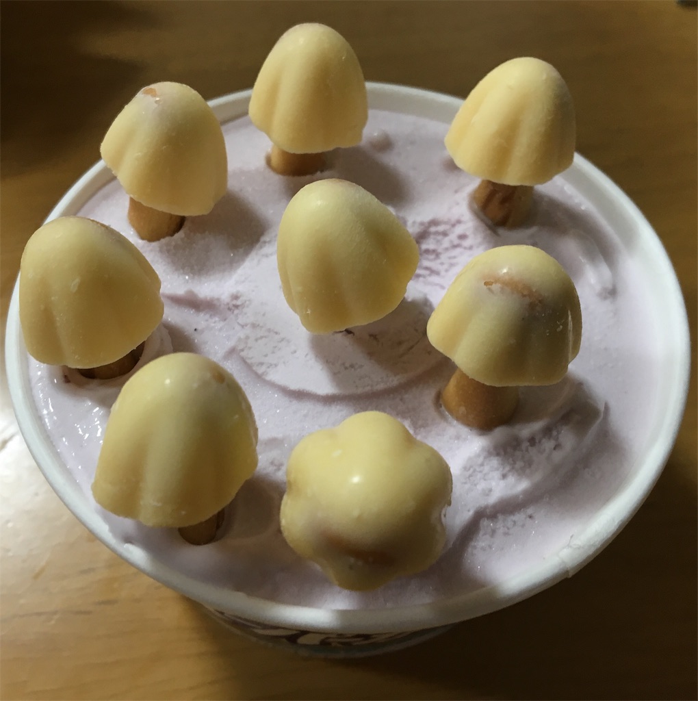 f:id:ToJUN:20190517232658j:image f:id:ToJUN:20190517232658j:image