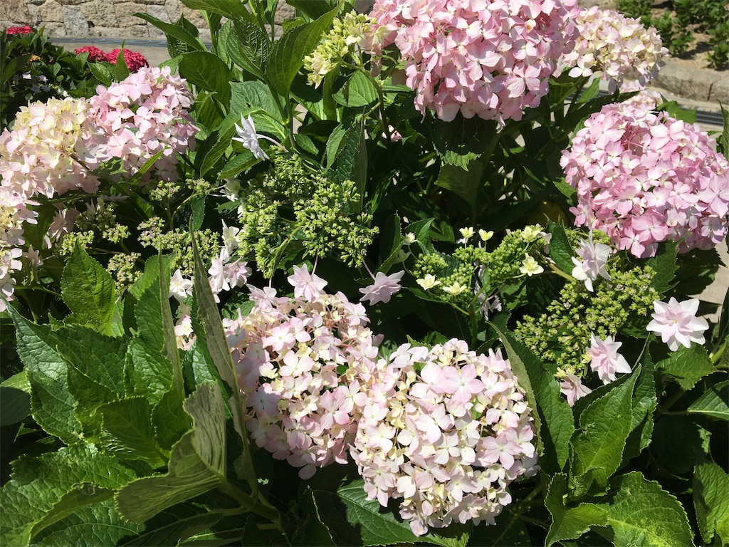 f:id:ToJUN:20190609181458j:image f:id:ToJUN:20190609181458j:image