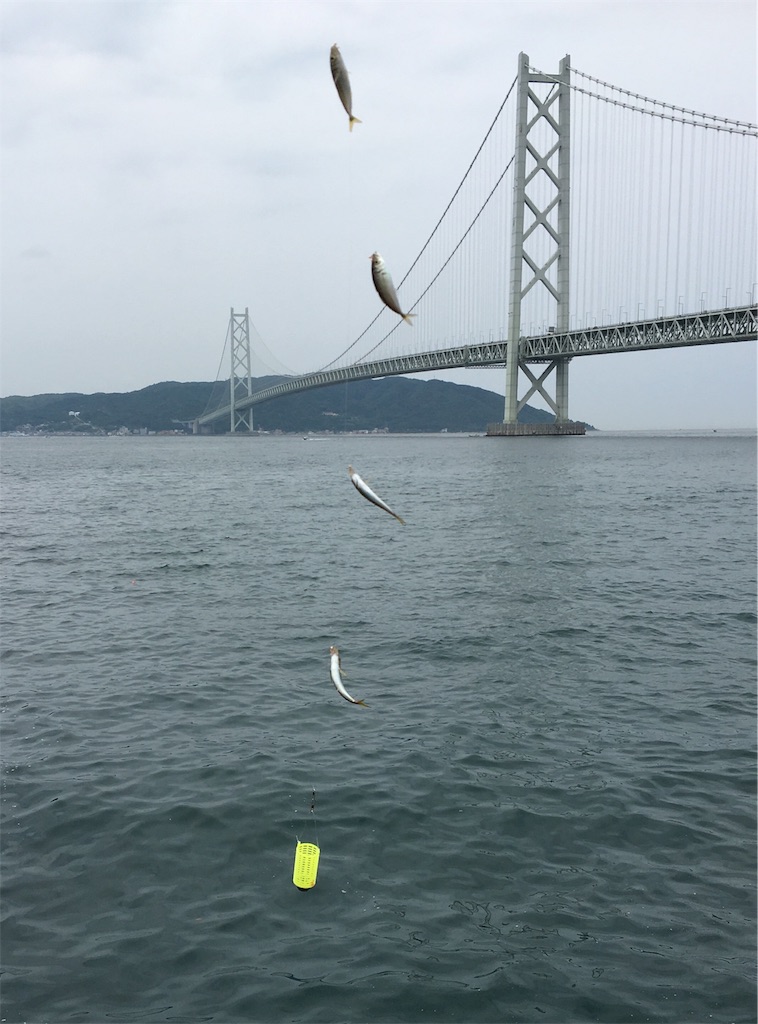 f:id:ToJUN:20190623155708j:image f:id:ToJUN:20190623155708j:image