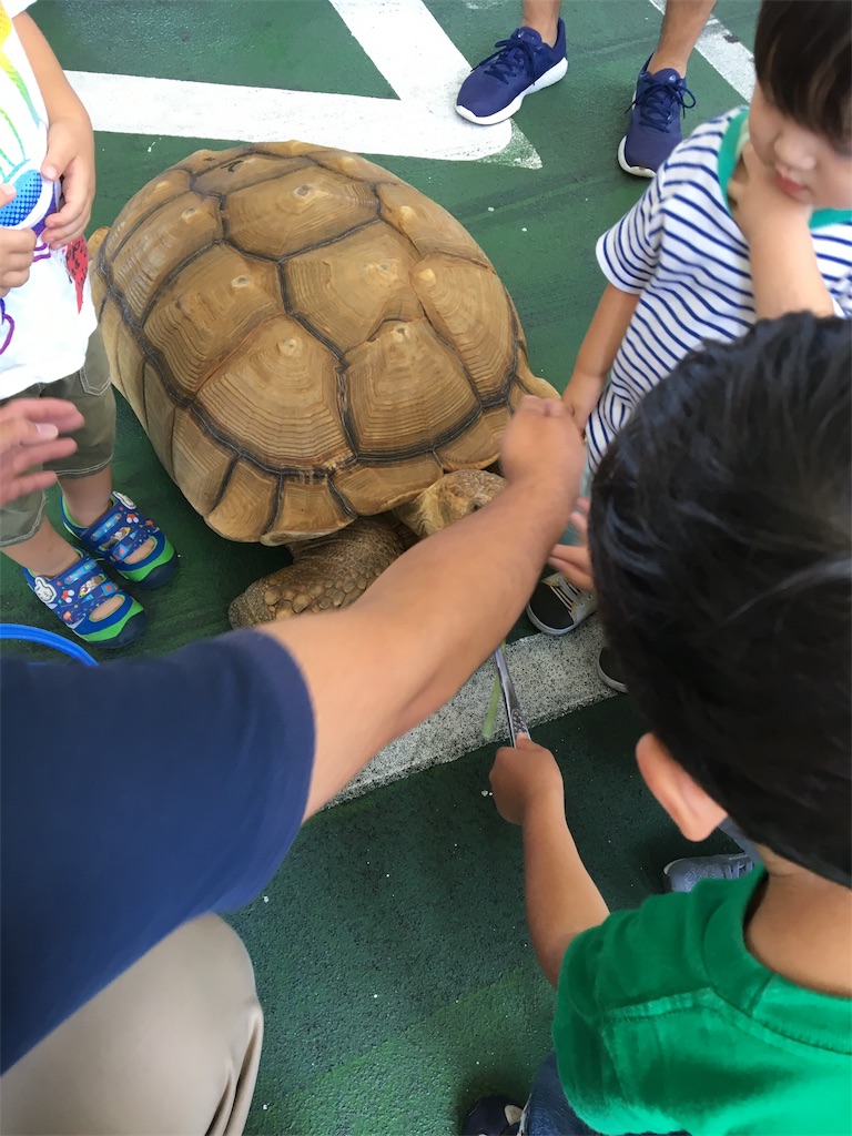 f:id:ToJUN:20190804121512j:image