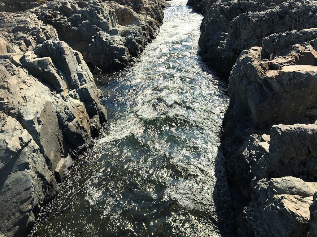 f:id:ToJUN:20191109225301j:image f:id:ToJUN:20191109225301j:image