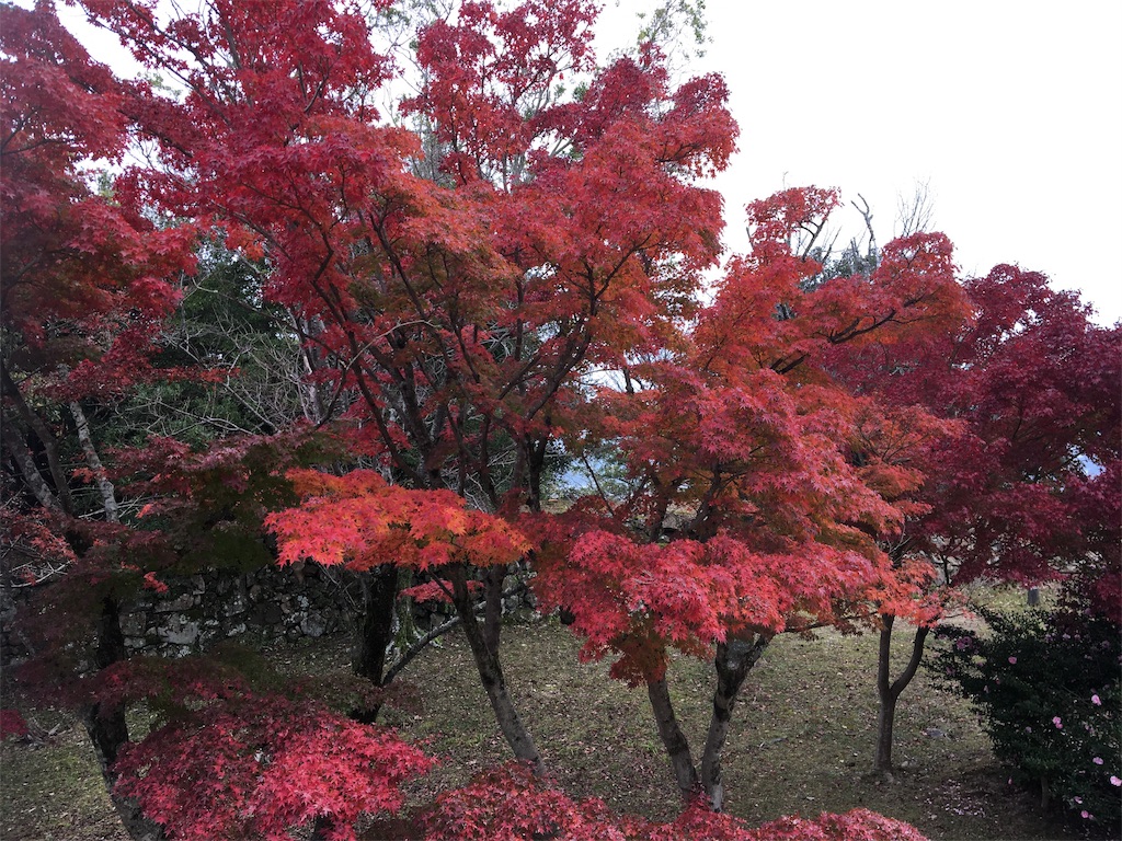 f:id:ToJUN:20191124231256j:image f:id:ToJUN:20191124231256j:image