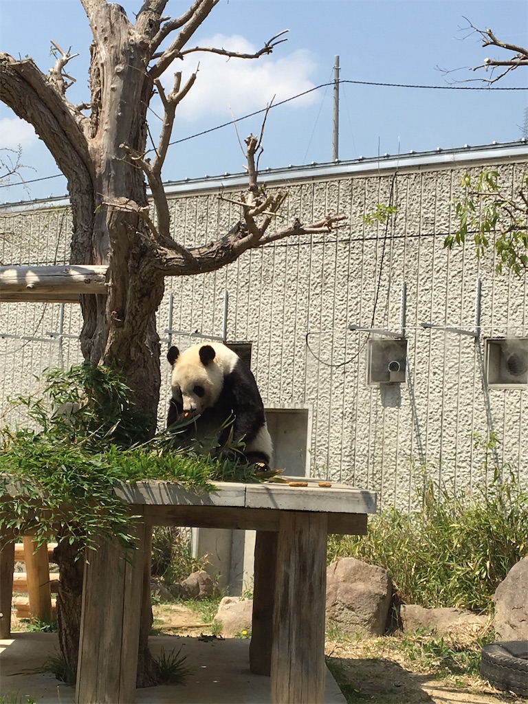 f:id:ToJUN:20200521102735j:image f:id:ToJUN:20200521102735j:image