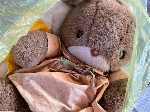 f:id:ToJUN:20211227191653j:plain