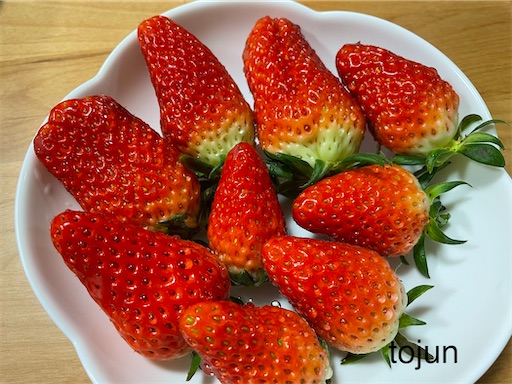 f:id:ToJUN:20220224185357j:image f:id:ToJUN:20220224185357j:image