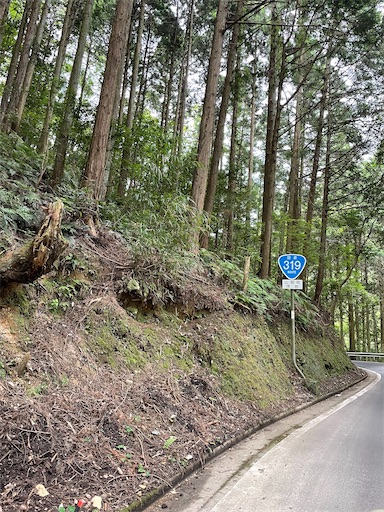 f:id:ToJUN:20220801181002j:image f:id:ToJUN:20220801181002j:image