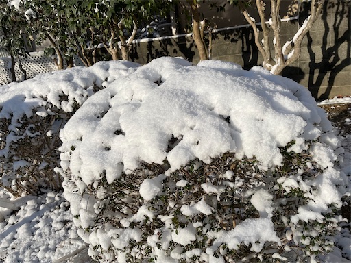f:id:ToJUN:20230125093005j:image