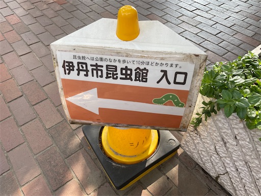f:id:ToJUN:20231124175608j:image f:id:ToJUN:20231124175608j:image