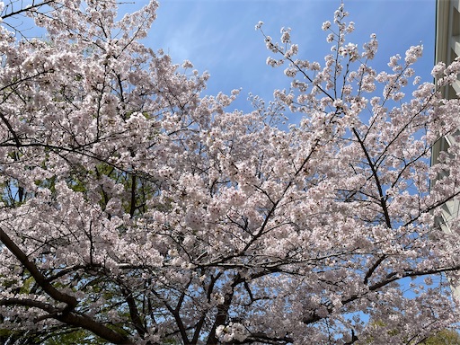 f:id:ToJUN:20250409184717j:image f:id:ToJUN:20250409184717j:image