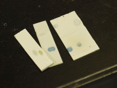 f:id:TodaiGCOE:20090717153242j:image f:id:TodaiGCOE:20090717153242j:image