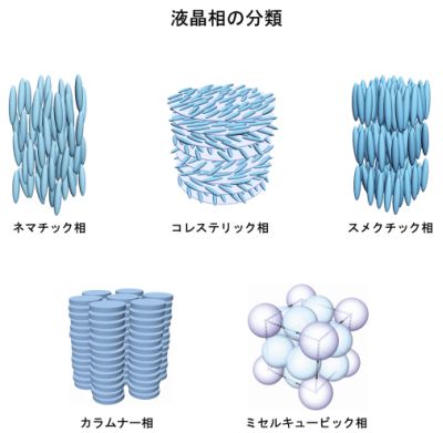 f:id:TodaiGCOE:20090821170739j:image f:id:TodaiGCOE:20090821170739j:image