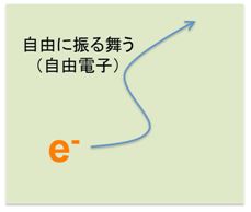 f:id:TodaiGCOE:20110811150655j:image f:id:TodaiGCOE:20110811150655j:image