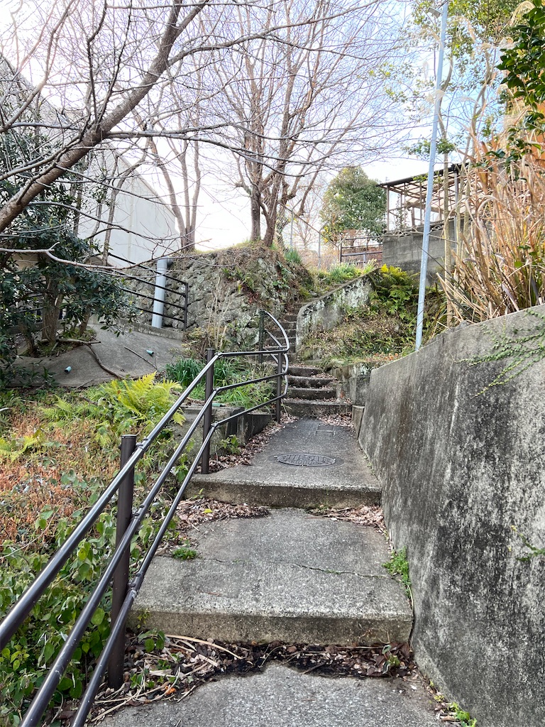 f:id:Todd_UP:20220226205627j:image