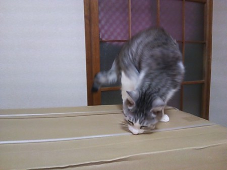 20130403200443
