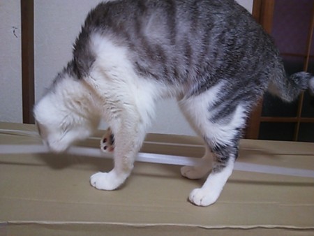 20130403200452