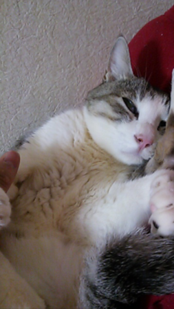 20130404234847