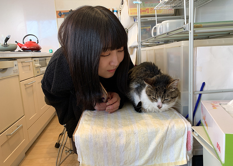 f:id:Toherenevercome:20191124165836j:plain f:id:Toherenevercome:20191124165836j:plain