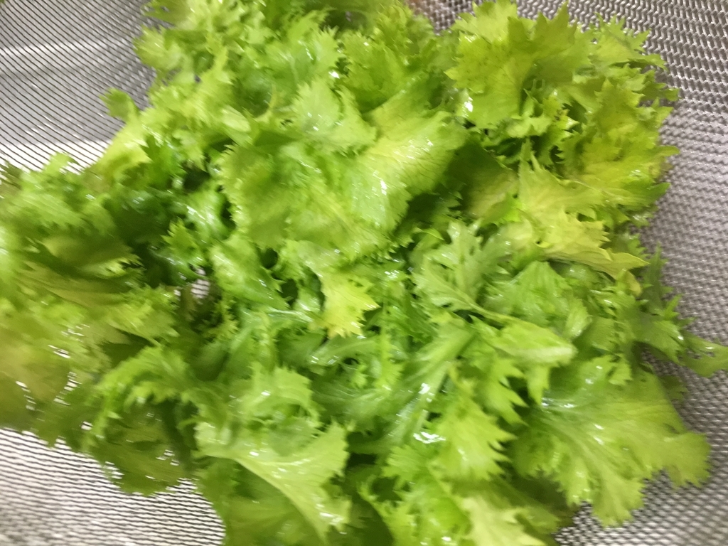 f:id:ToiLetg0:20181223172707j:plain f:id:ToiLetg0:20181223172707j:plain