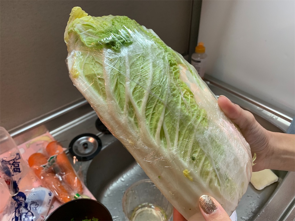 f:id:ToiLetg0:20190214195255j:image f:id:ToiLetg0:20190214195255j:image