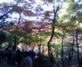 紅葉３