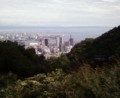 ハーブ園の途中で見た景色