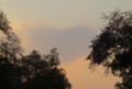 空に偶然できたハート型の雲　20151024