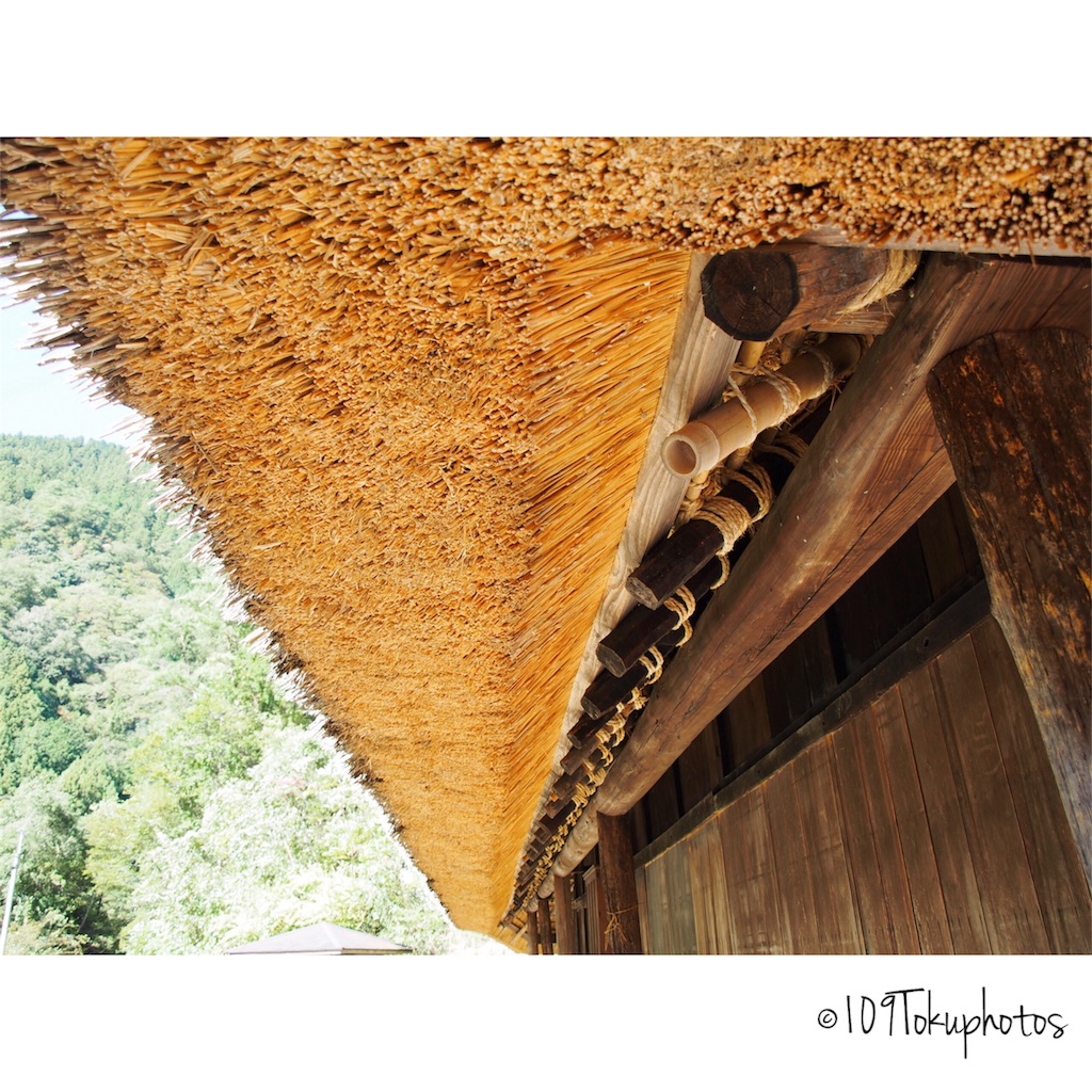 f:id:Toku109:20171106083037j:image