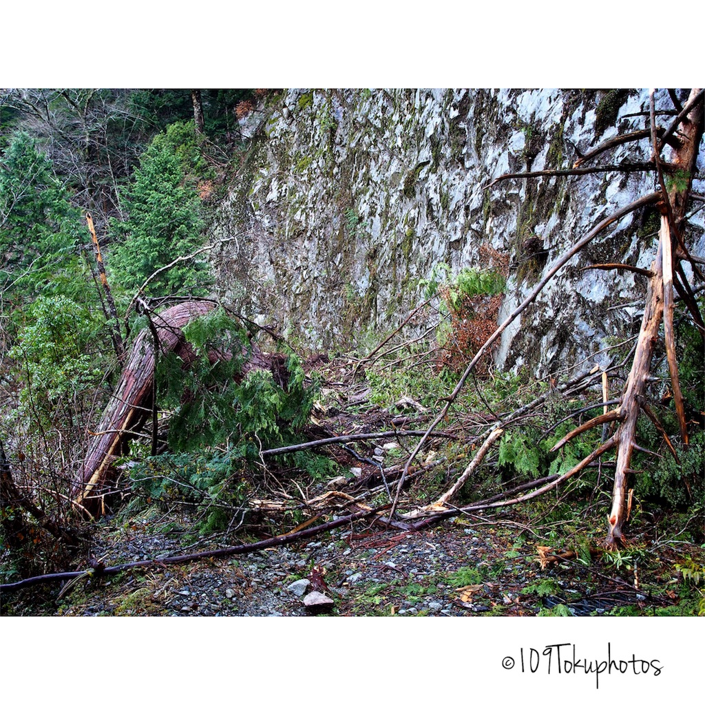 f:id:Toku109:20171202091534j:image