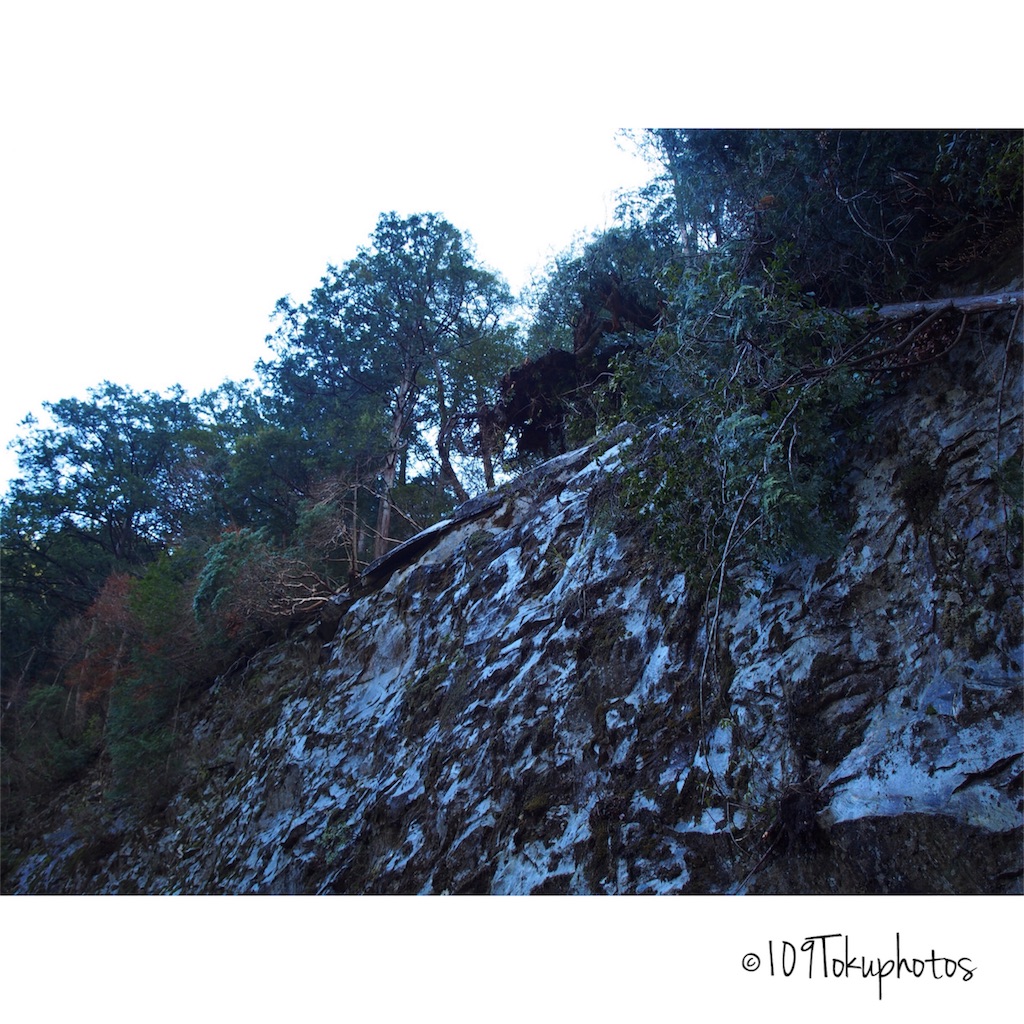 f:id:Toku109:20171202091736j:image