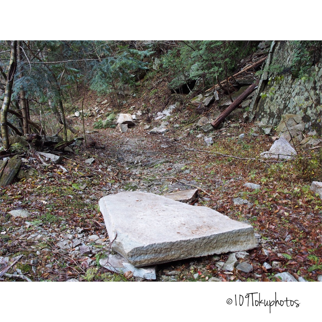 f:id:Toku109:20171202091905j:image